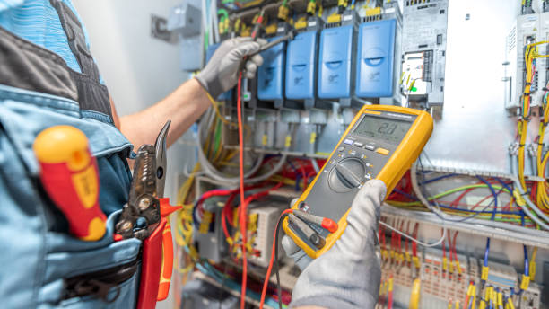 Best Electric Panel Repair  in Canadian, TX